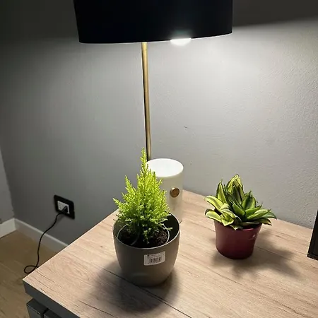 Apartman Domus Largo Pescheria