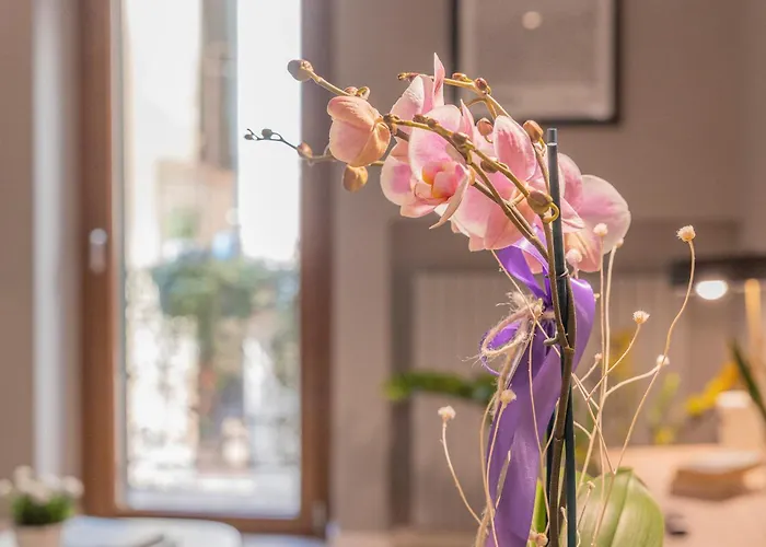 Domus Largo Pescheria Verona