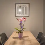 Domus Largo Pescheria Apartment Verona