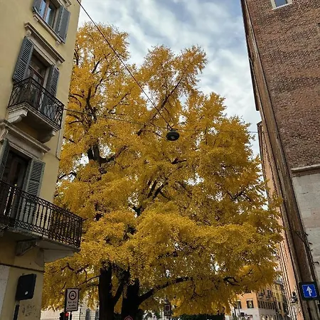 Domus Largo Pescheria Διαμέρισμα *