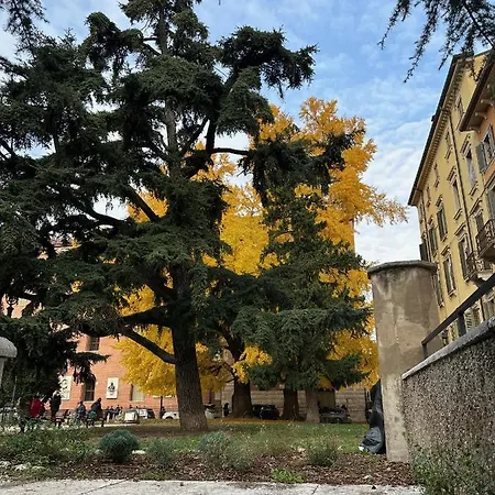 Apartment Domus Largo Pescheria *
