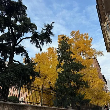 Apartment Domus Largo Pescheria Verona