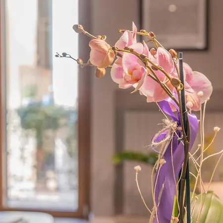 Domus Largo Pescheria Verona