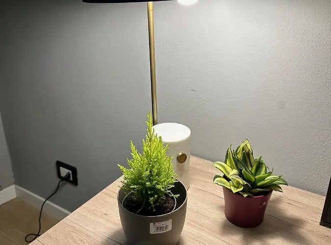 Apartmán Domus Largo Pescheria