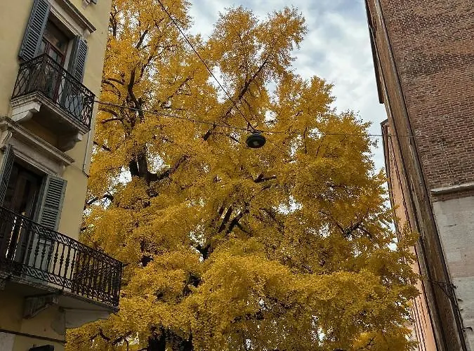 Domus Largo Pescheria Apartmán *