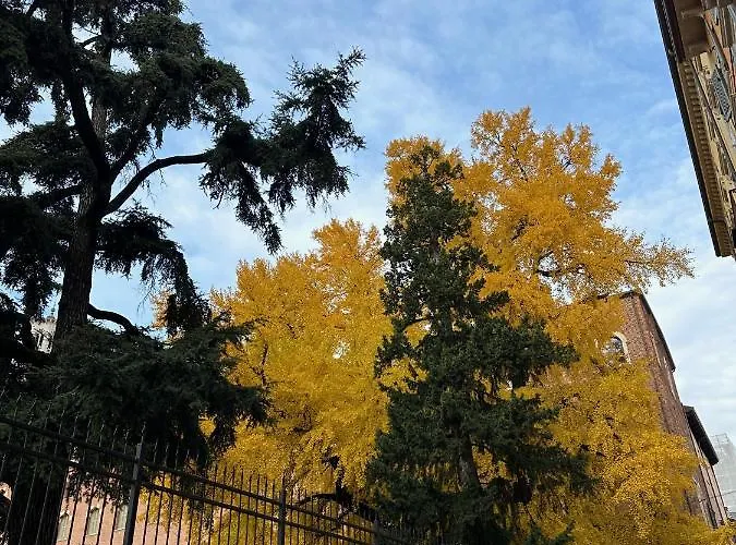 Apartmán Domus Largo Pescheria Verona